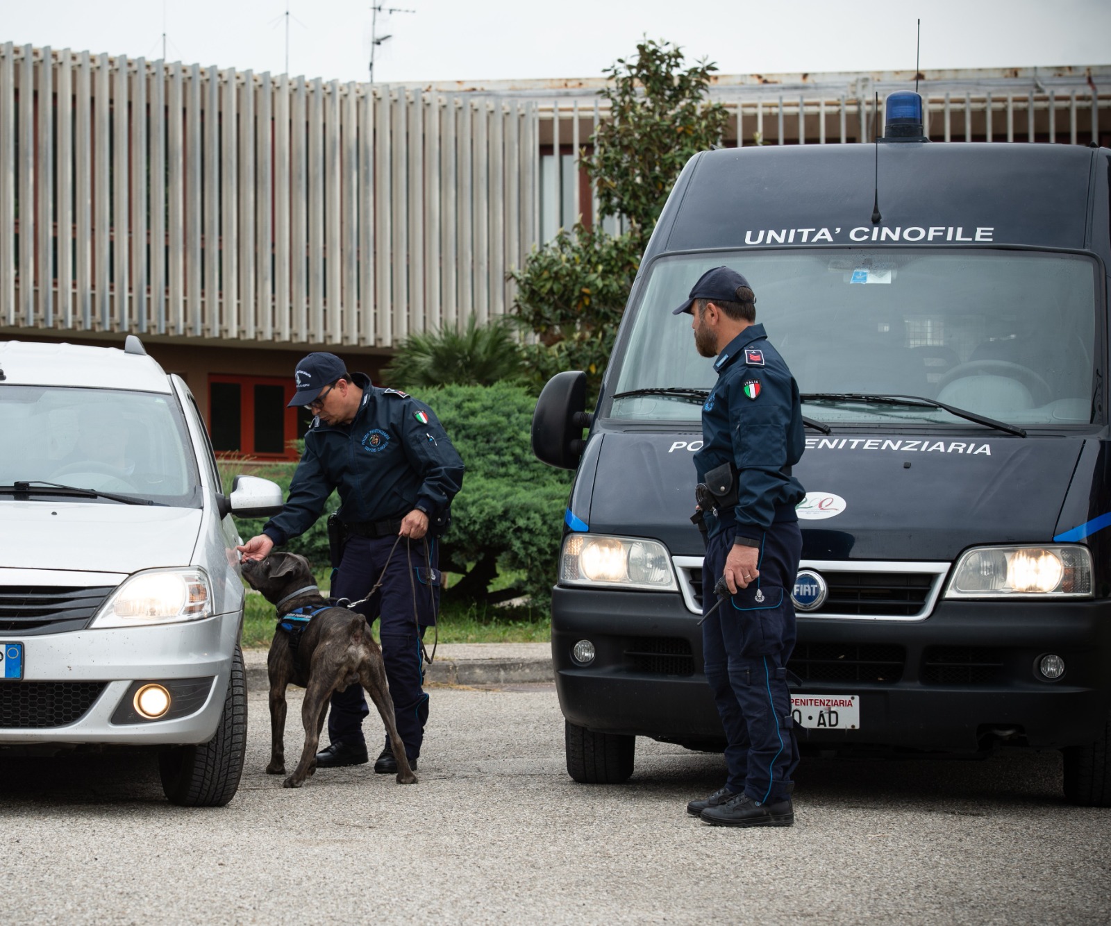 Servizio Cinofili Antidroga della Polizia Penitenziaria della Campania, bilancio positivo per il 2024