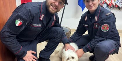 Piccolo maltese salvato dai Carabinieri forestali