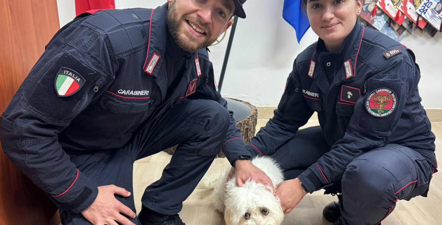 Piccolo maltese salvato dai Carabinieri forestali