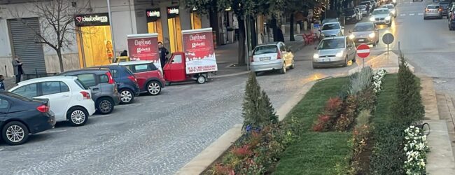 La fontana di piazza Bissolati diventa un isolotto giardino