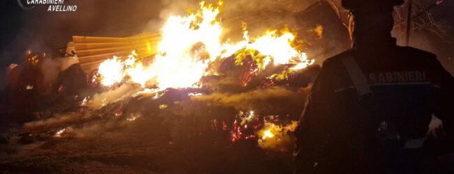 Andretta| Incendio all’alba in un’azienda agricola, morte una ventina di pecore